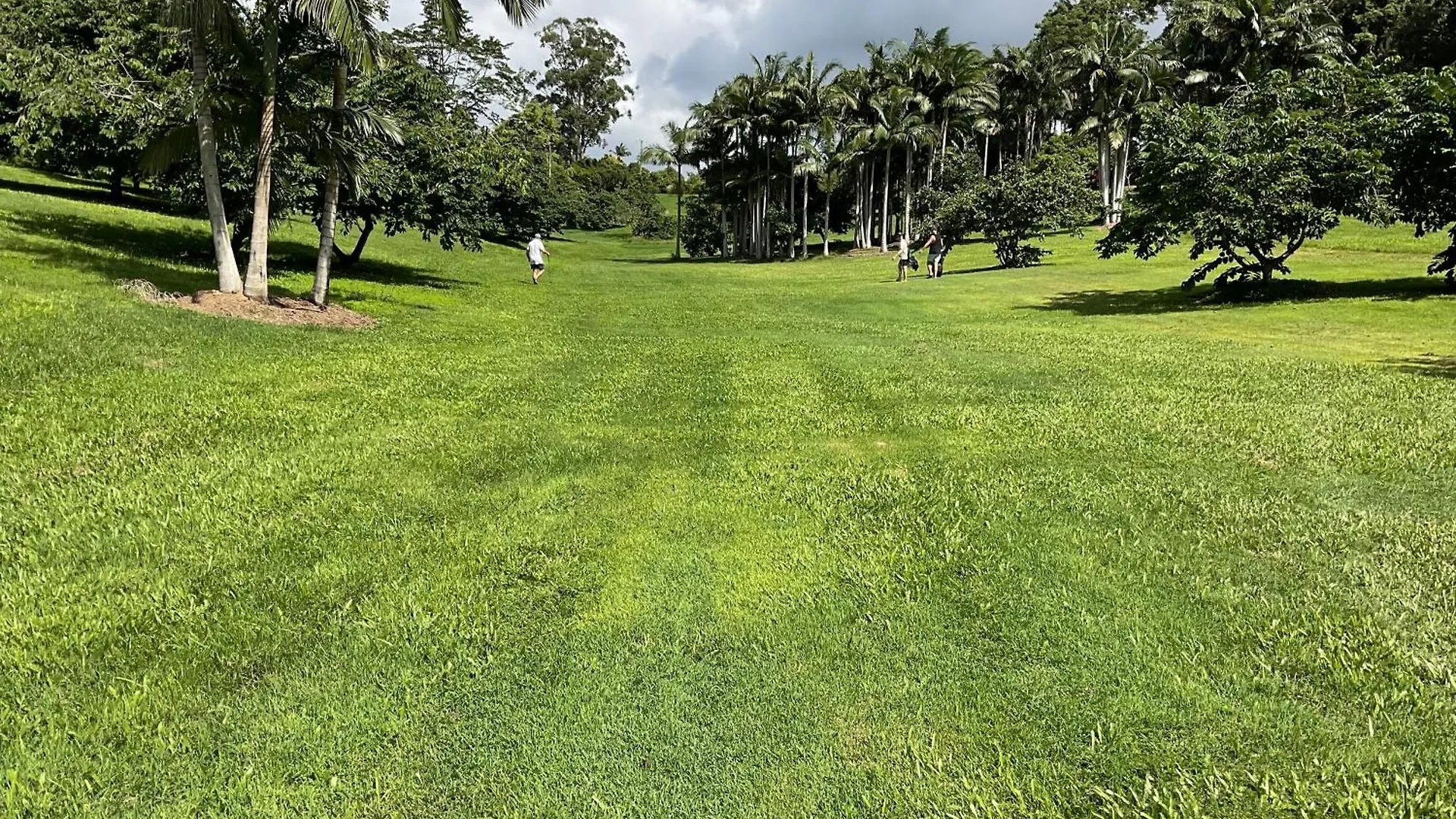 Sunshine Coast Retreat Your Own Private Golf Course Diddillibah アパート